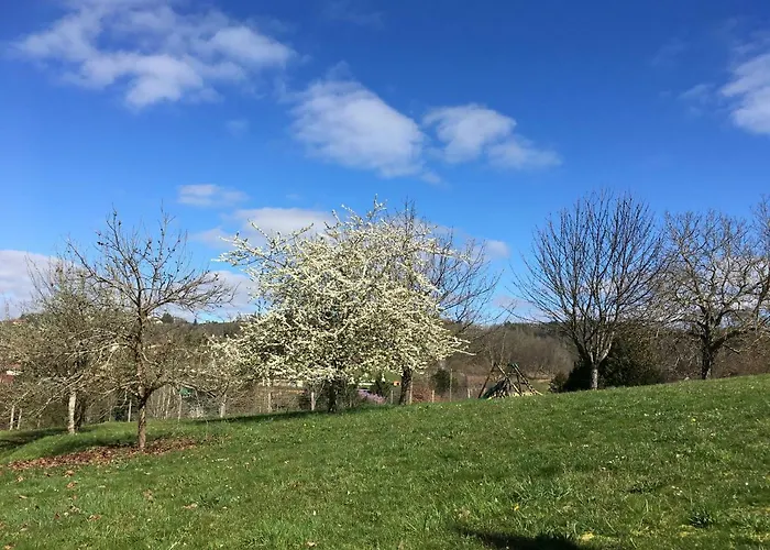 Ma A 萨尔拉拉卡内达